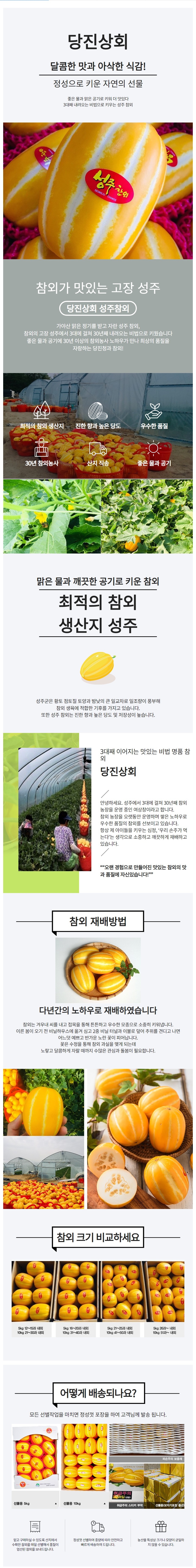 1593046749 당진상회 성주참외 3KG 선물용 최상품 (프리미엄).JPG