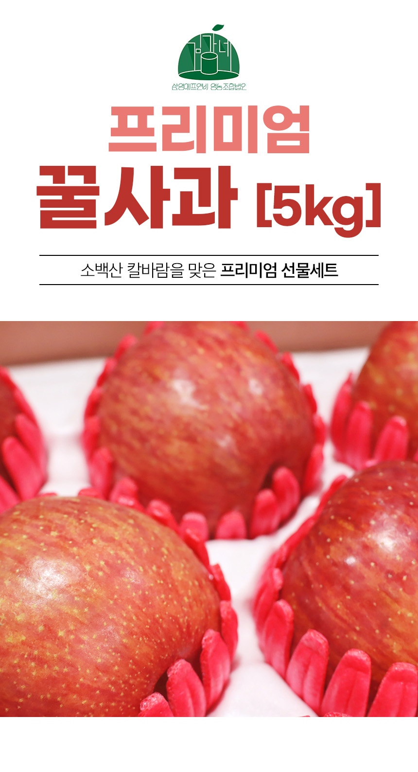 레이어 2.jpg