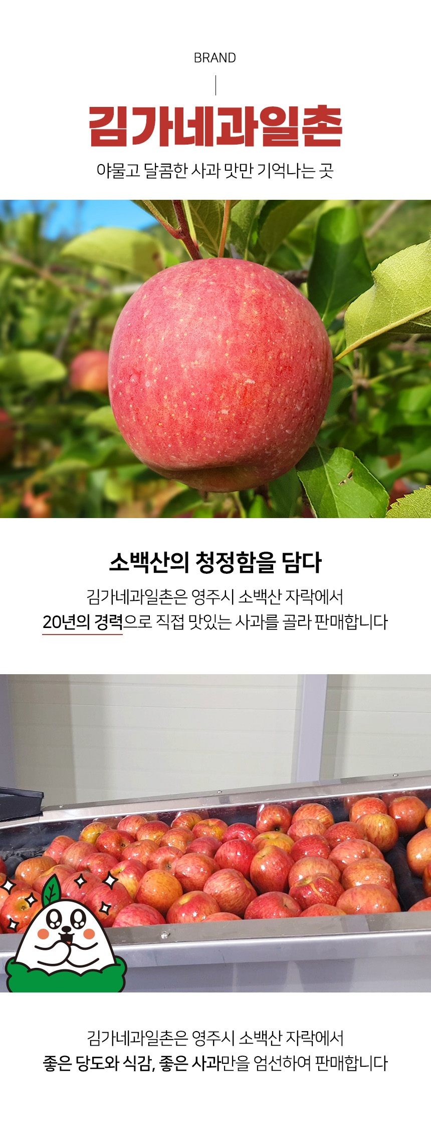 레이어 3.jpg