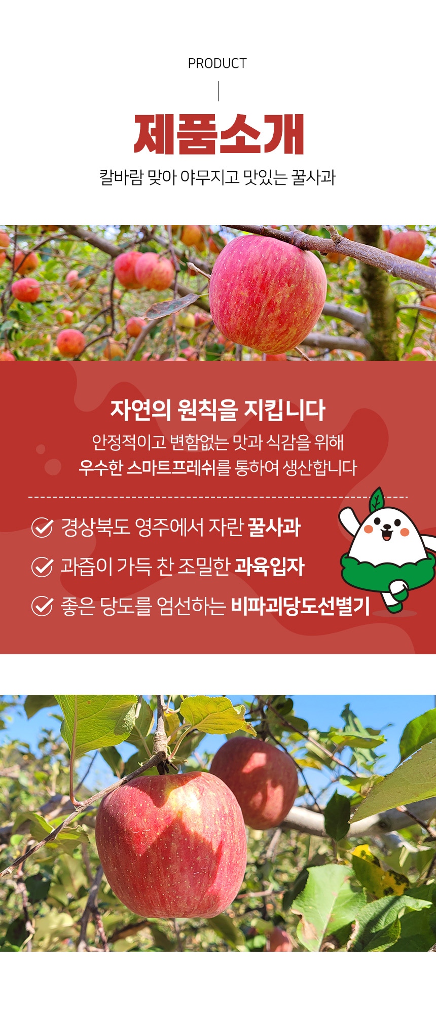 레이어 4.jpg
