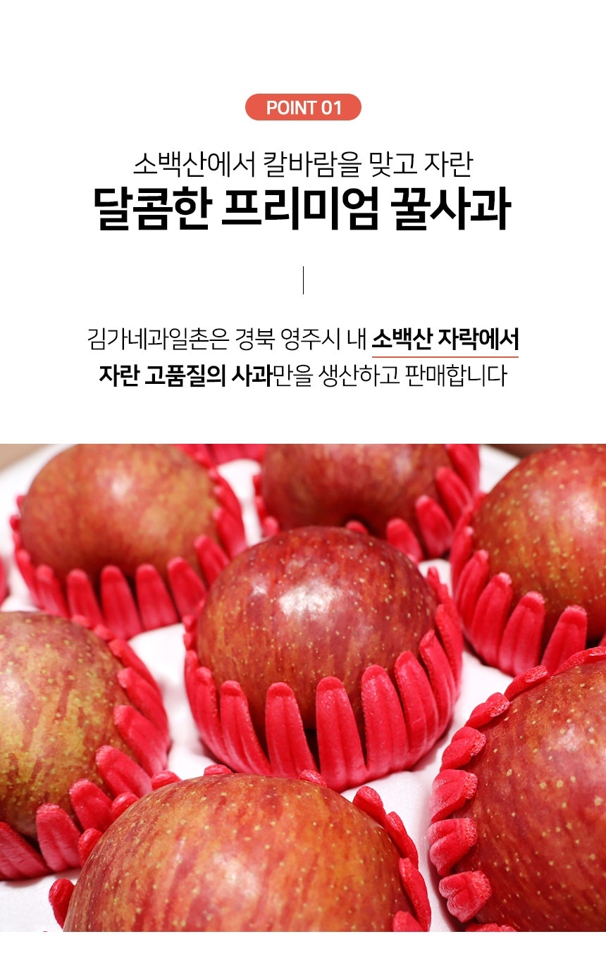 05.jpg