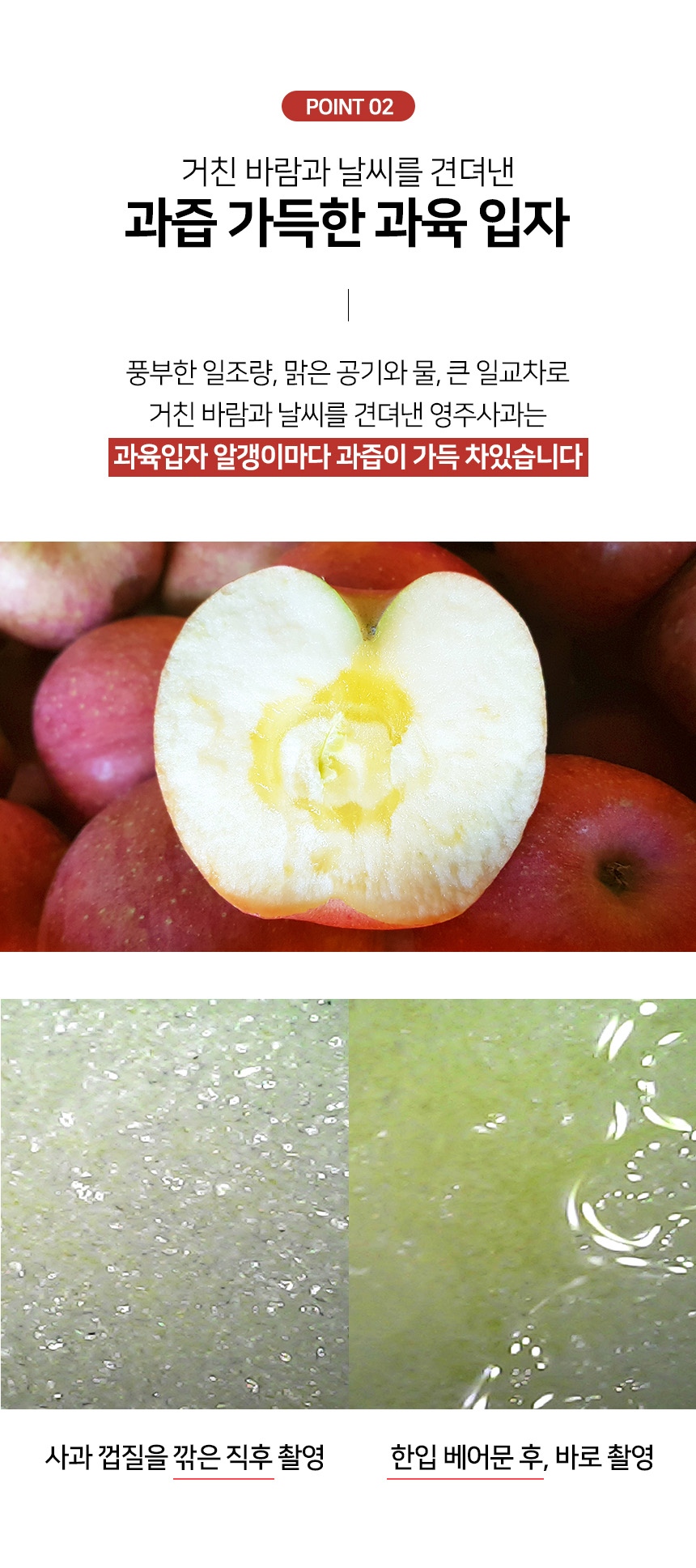 레이어 6.jpg