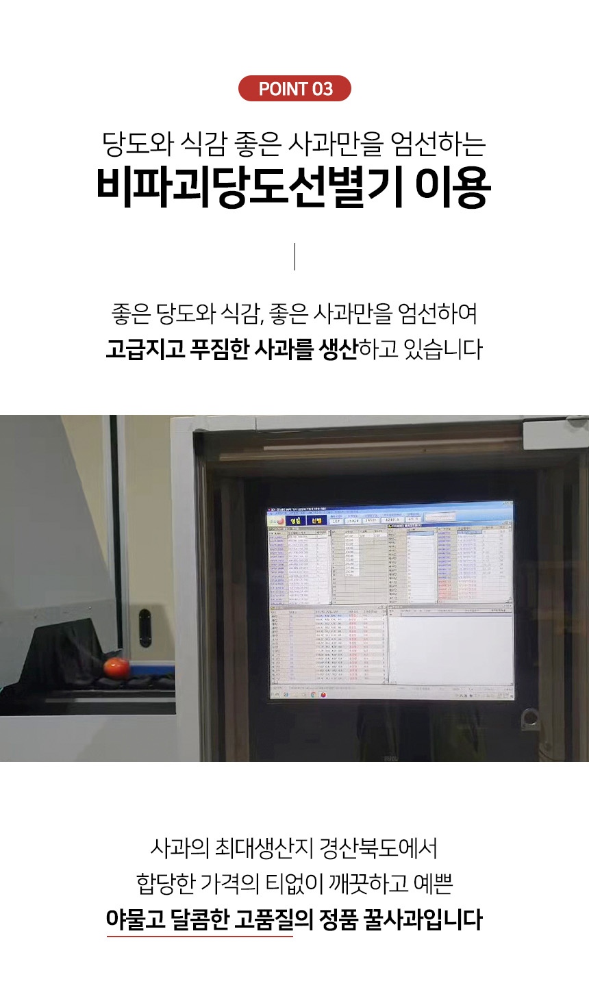 레이어 7.jpg