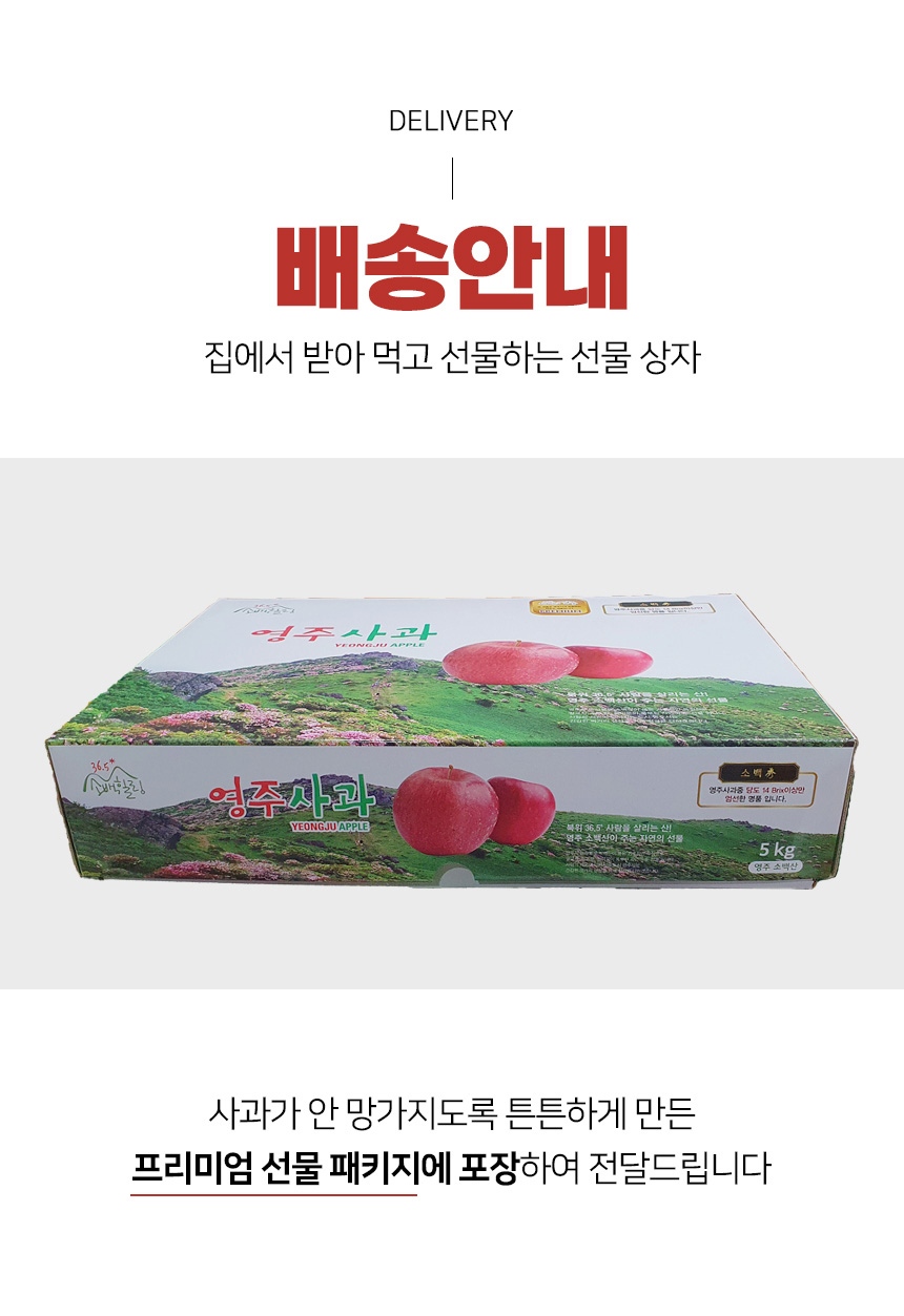 레이어 10.jpg