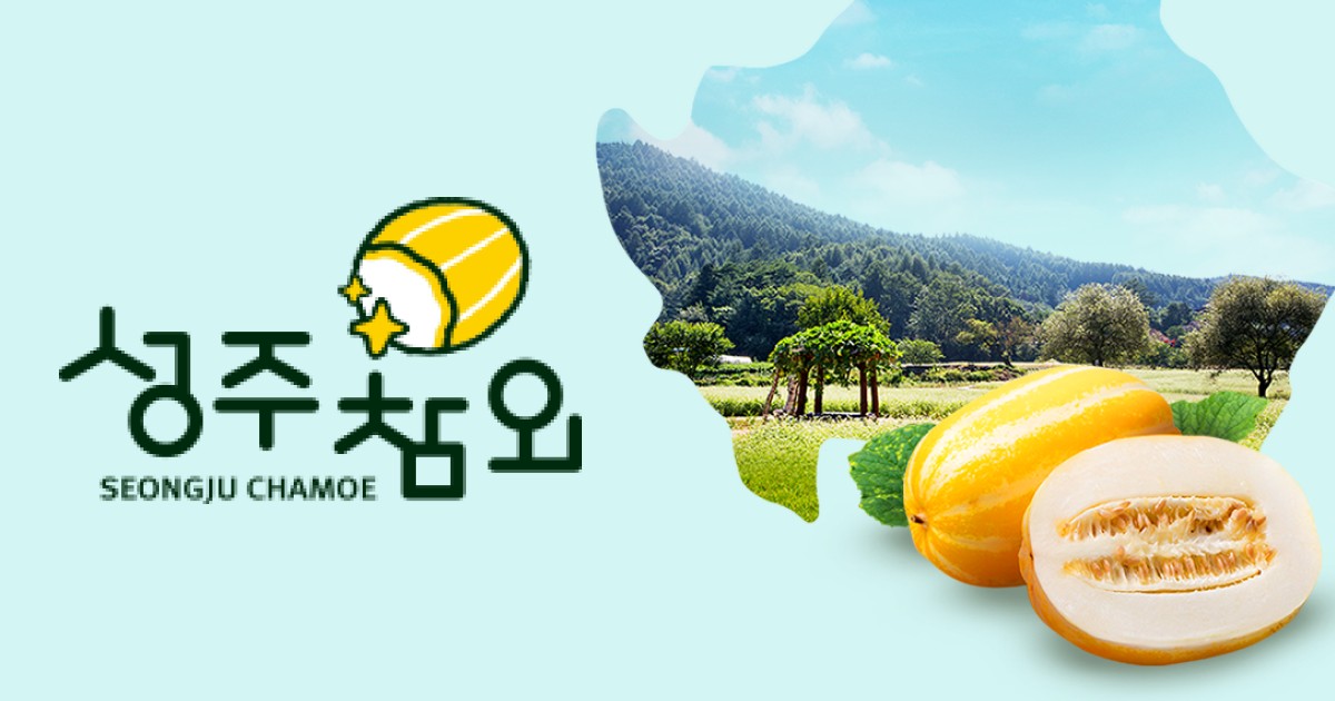 기획전 - 성주참외